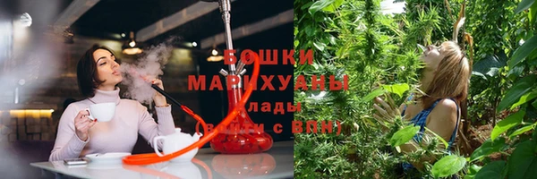 бошки Арсеньев